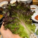 곤들레뜰 네이버블로그