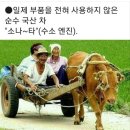 일상 이미지