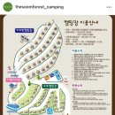 창원 마산 재방문 “더숨포레스트” 카라반 커플형 블루 내돈내산 상세후기