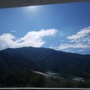 하와이장 이미지