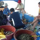 마니산펜션 이미지