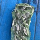 산들 낚시터 이미지