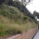 장명초등학교 이미지