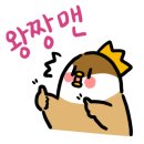 피오디스튜디오