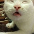 휴먼트 (주) | 홍대충을 사랑한 여자 ,,, 💔💦