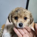 청북새싹길 이미지