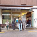 사소한 기념일 | 을지로일식맛집: 진작 본점 카이센동&amp;모듬카츠 후기, 데이트/기념일날 추천맛집!!