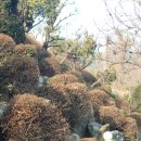 이시돌쉼터 이미지