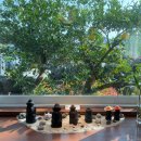 논현로5길 31-16 | [여행일기2] 제주도 3박4일 서귀포 여행 – 맛집/카페/데이트코스(feat. 남자친구)