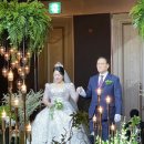 더메이호텔 이미지