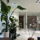 도곡유스앤영의원 이미지