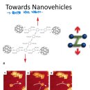 세움전기(주) | 네덜란드 교환학생 개강 2주차 (0908~0914)