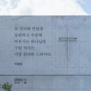 창세기 41:17-36 요셉의 해몽과 현명한 위기 대책 / 묵상 이미지