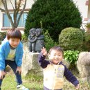 송한농장 | 녹용대보탕 추천-송한사슴농장건강원