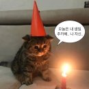 브라운도트호텔(화명점) 이미지