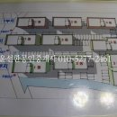 아젤리아 이미지