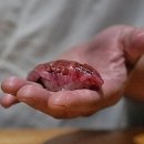 골프콘텐트허브 이미지