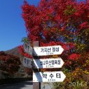 보림사주차장 이미지