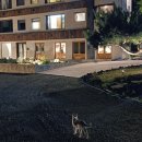 (주)합천호워터월드 | 합천 예이제 숙소 후기 합천호 뷰 가성비 좋은 4명 펜션