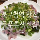 등푸른생선집 | [대구맛집/등푸른생선집 본점] 새벽에 잡은 청어 당일에 먹을수 있는 또또또간집 내돈내산후기