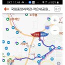 비어조