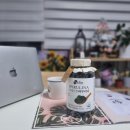 (주)알비케이뉴트라슈티컬코리아 | 트루블루 스피루리나 추천 코스트코에서 찾은 피부건강 항산화 제품