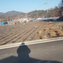 신양보건진료소 이미지