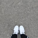 진부령막국수 이미지