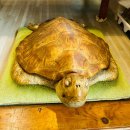 소소산식벌교식당 이미지