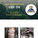 인제군자연산버섯 협동조합 이미지