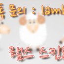 램스스킨