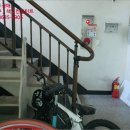 곰달래로(북측) 이미지