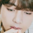 아미플라워