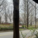 브레드82 | 양재천 테라스 맛집 퀴송82 cuisson82 맛 분위기 다 잡은 프렌치 비스트로