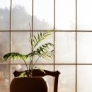 연하민박 이미지