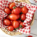 선경농장 이미지