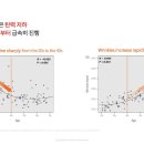 주식회사 엘라스틱랩