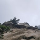 여름코스 이미지