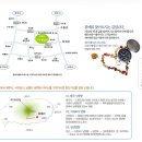 귤하르방토산품 | 휴애리