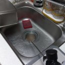 4732 | 쥐며느리 퇴치 원인 잡고 해결한 후기