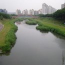 안산천 이미지