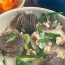 큰가마솥할매순대국＆양선지해장국 | 홀로 떠나는 묵호여행🌊