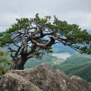 원죽마을회관 이미지