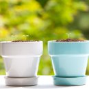 행복에너지 이미지