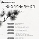 나를 찾아가는 사주명리학 이미지