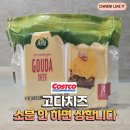 고다 | 코스트코 추천템, 알라 고다 치즈 후기 소분 안 하면 금방 상합니다