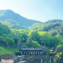 삼성궁 이미지