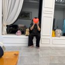 멍펜션10 이미지