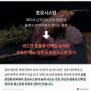 채식한다고? 고기에서만 얻을 수 있는 영양소가 있는데도?! 동자승도 고기먹어! 이미지