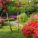 박수산 Daum카페